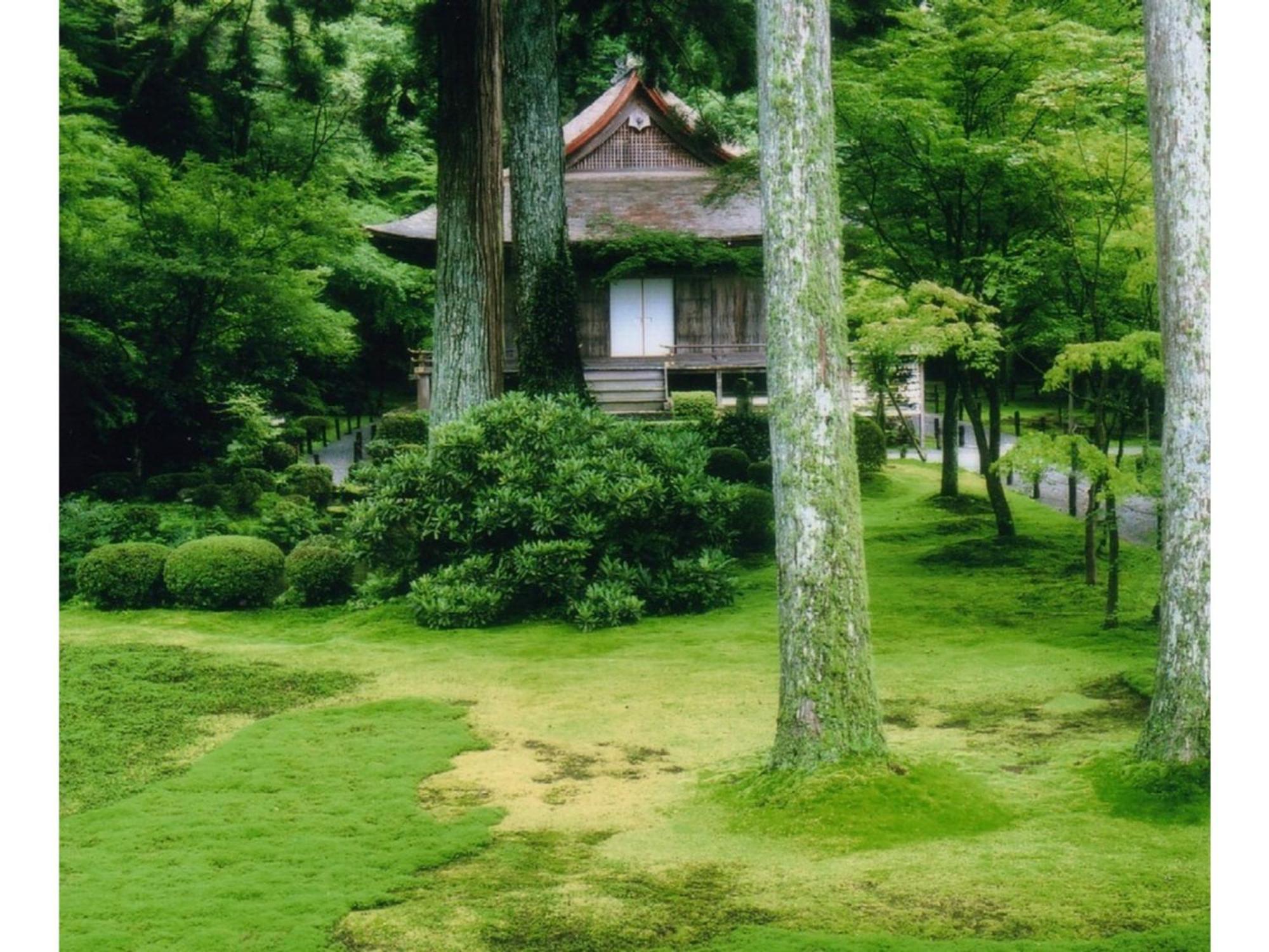 Ryoso Chatani - Vacation 43144v * Kyoto
